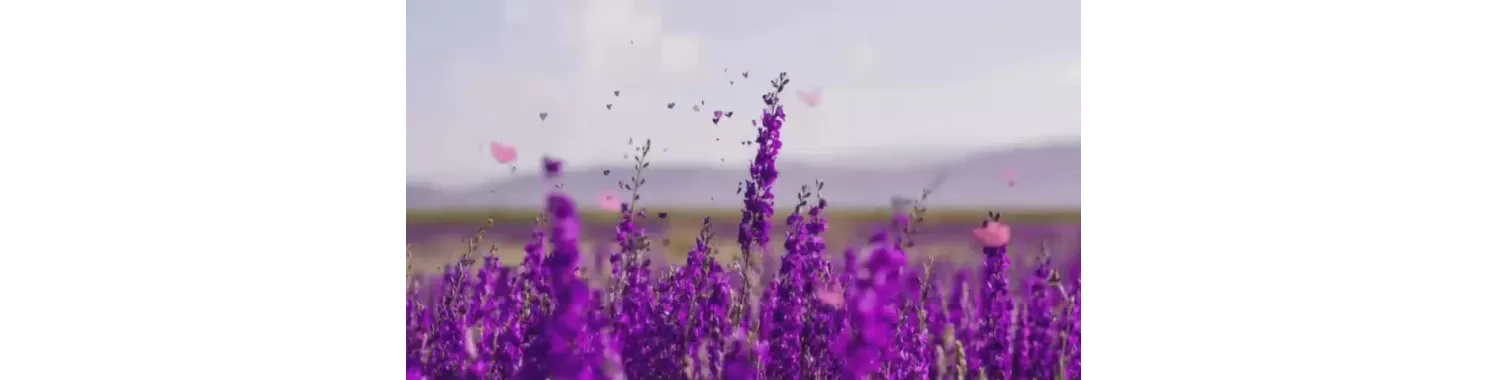 Natural Perfumery