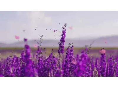 Natural Perfumery